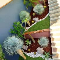 jardin