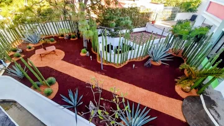 Cómo preparar el jardín de tu AirBnB en Oaxaca para la Guelaguetza — imagen 1