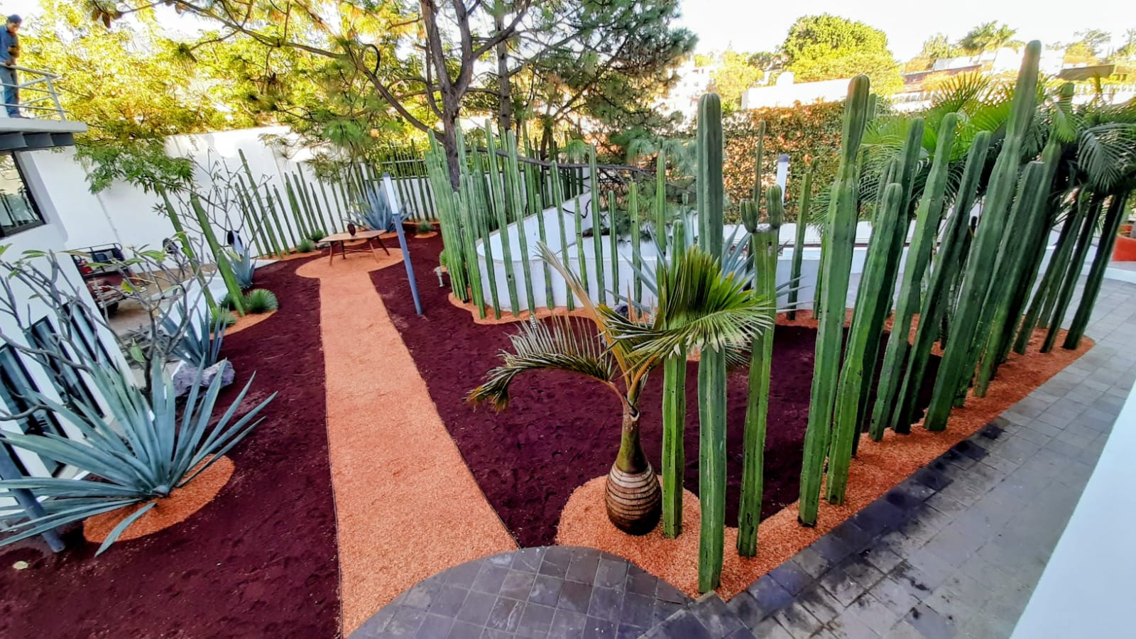 Cómo preparar el jardín de tu AirBnB en Oaxaca para la Guelaguetza — imagen 2