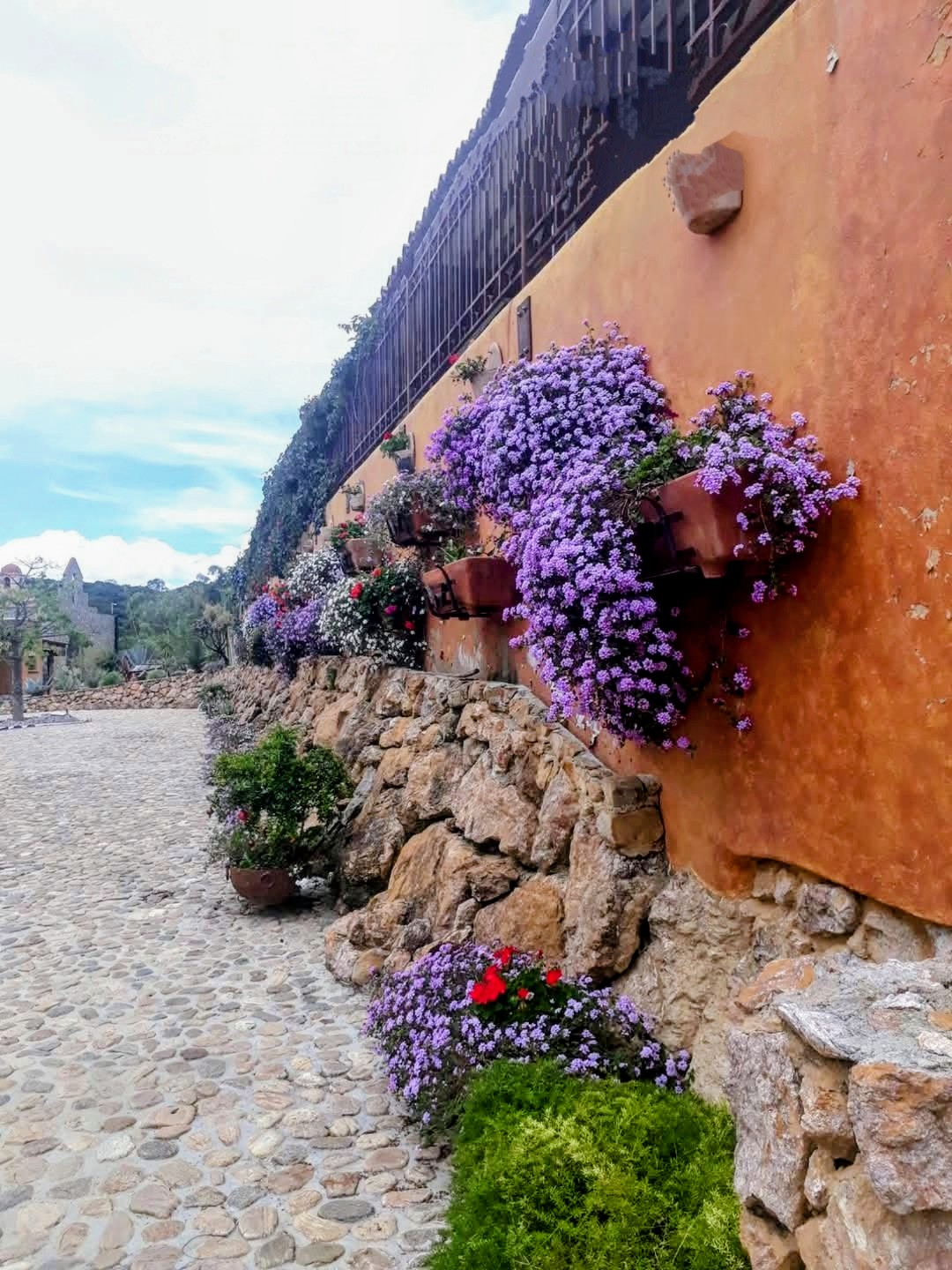 Cómo preparar el jardín de tu AirBnB en Oaxaca para la Guelaguetza — imagen 3