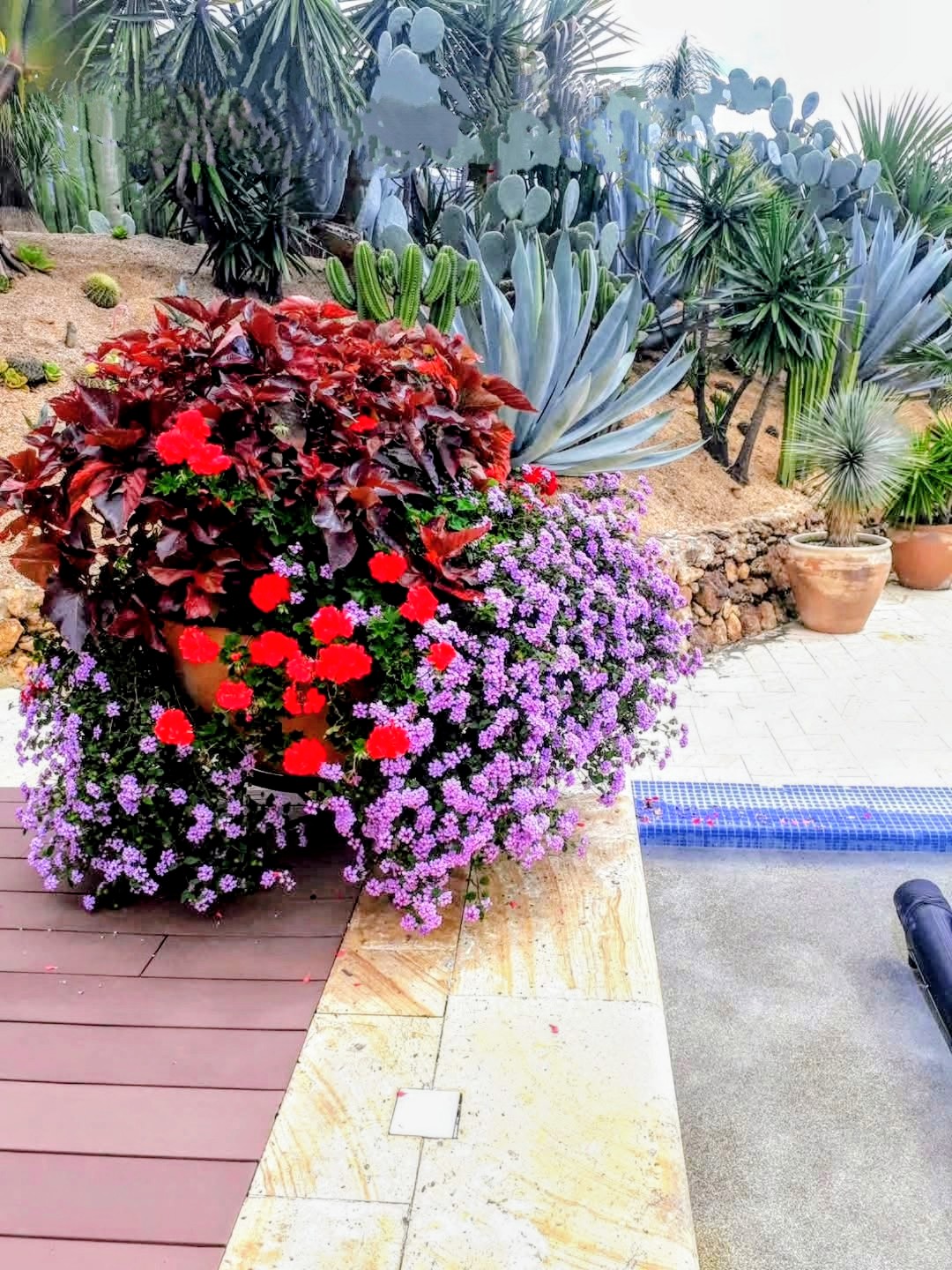 Cómo preparar el jardín de tu AirBnB en Oaxaca para la Guelaguetza — imagen 4