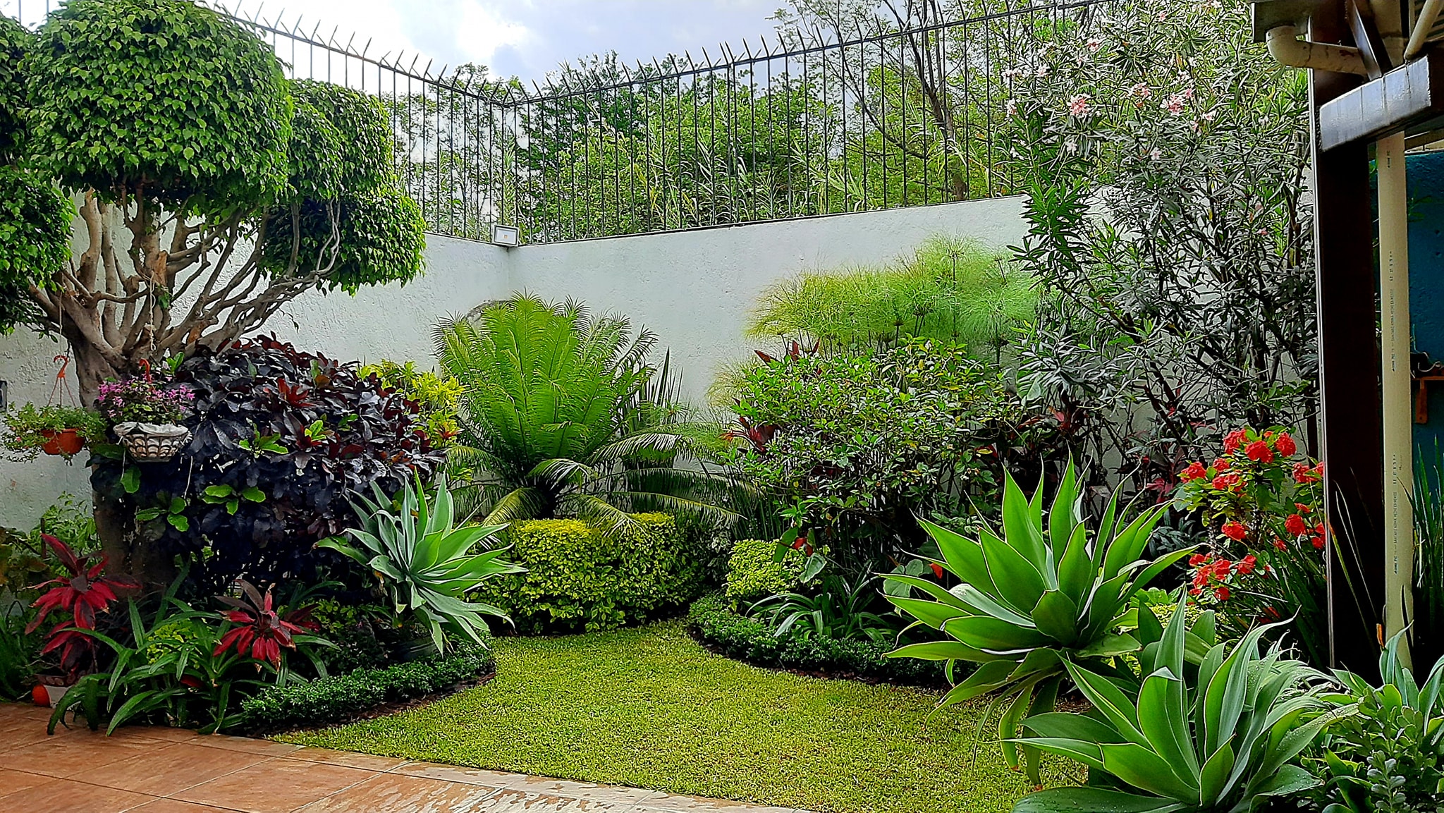 Jardín Residencial 