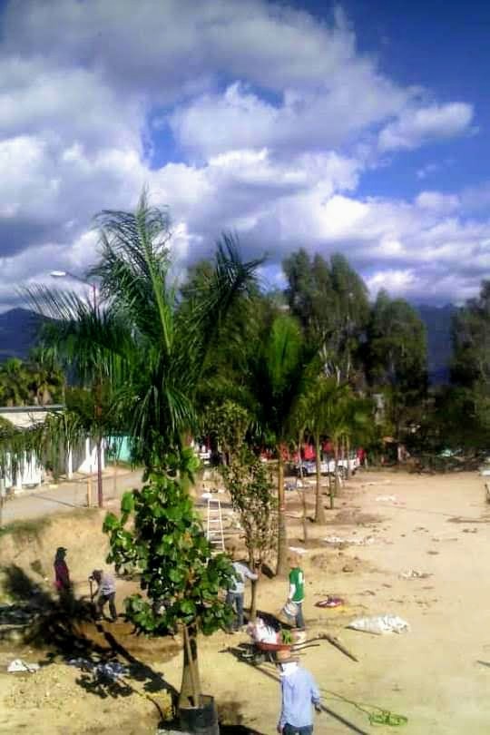 Jardines Hotel — imagen 1