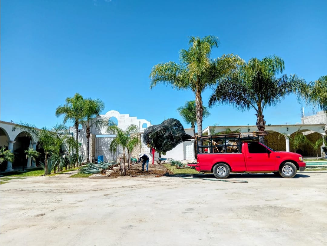 Jardines Hotel — imagen 4