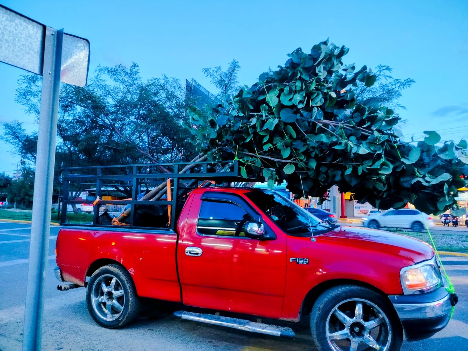 Rehabilitación de Áreas Verdes — imagen 1