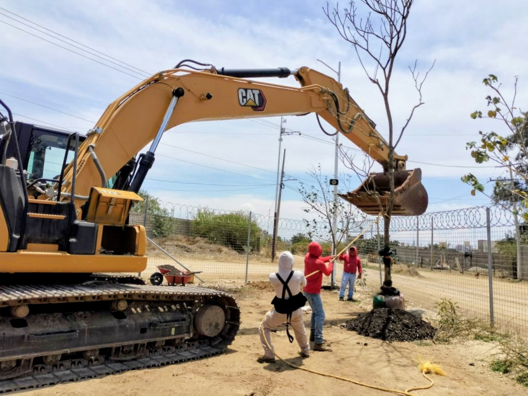 Rehabilitación de Áreas Verdes — imagen 2