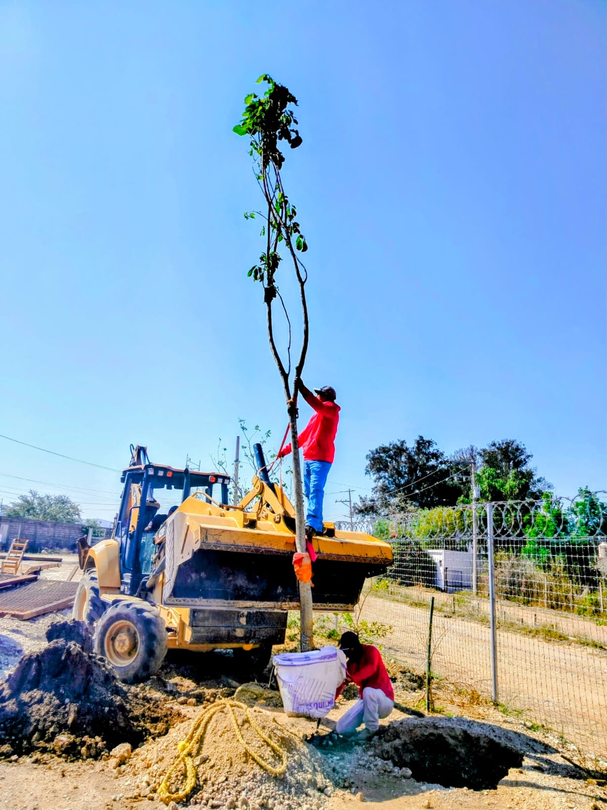 Rehabilitación de Áreas Verdes — imagen 5