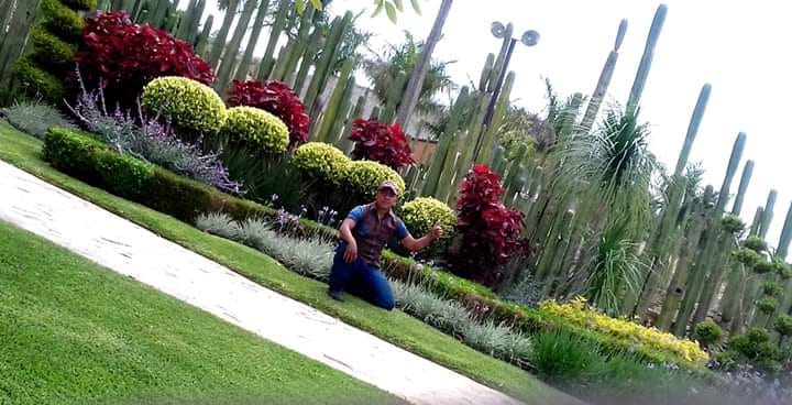 Parques y Jardines Municipales — imagen 2