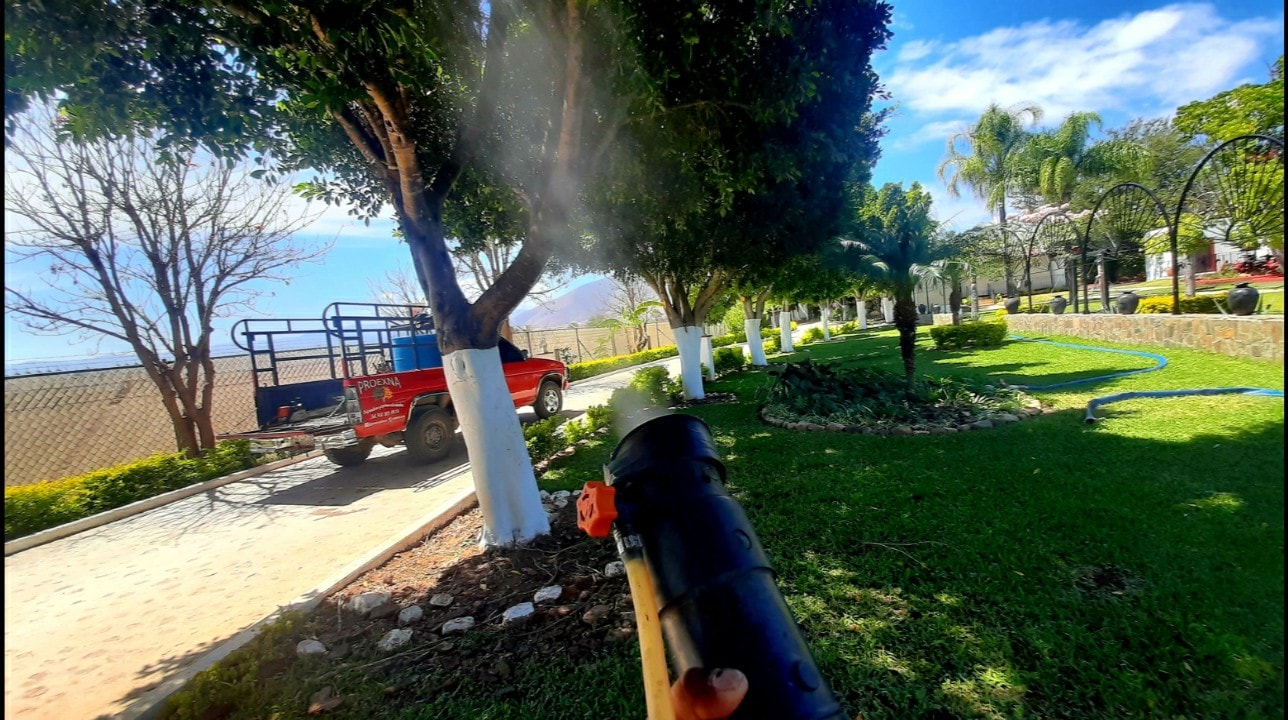 Fumigación para Control de Plagas