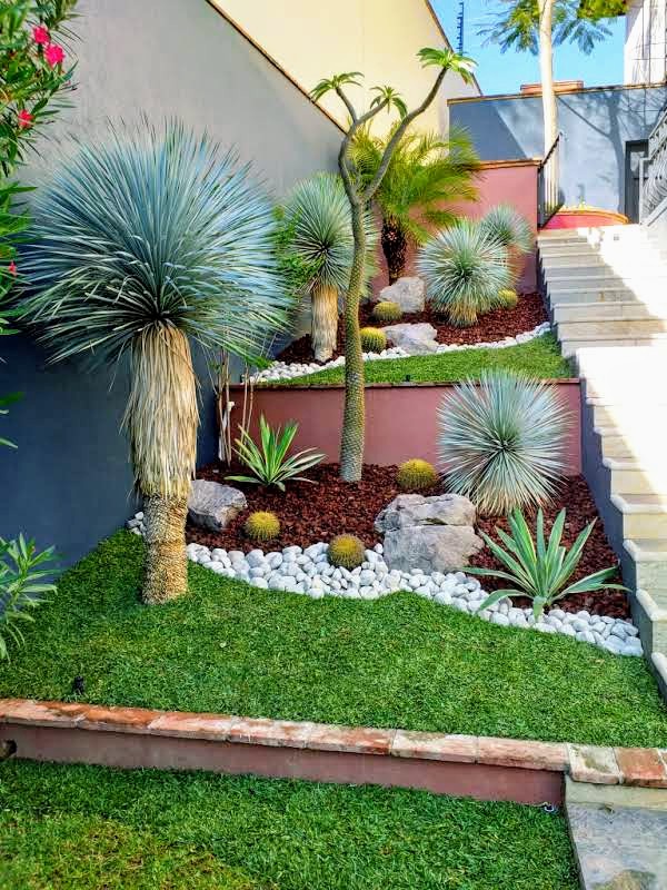 Diseño de Jardines Ornamentales y Desérticos