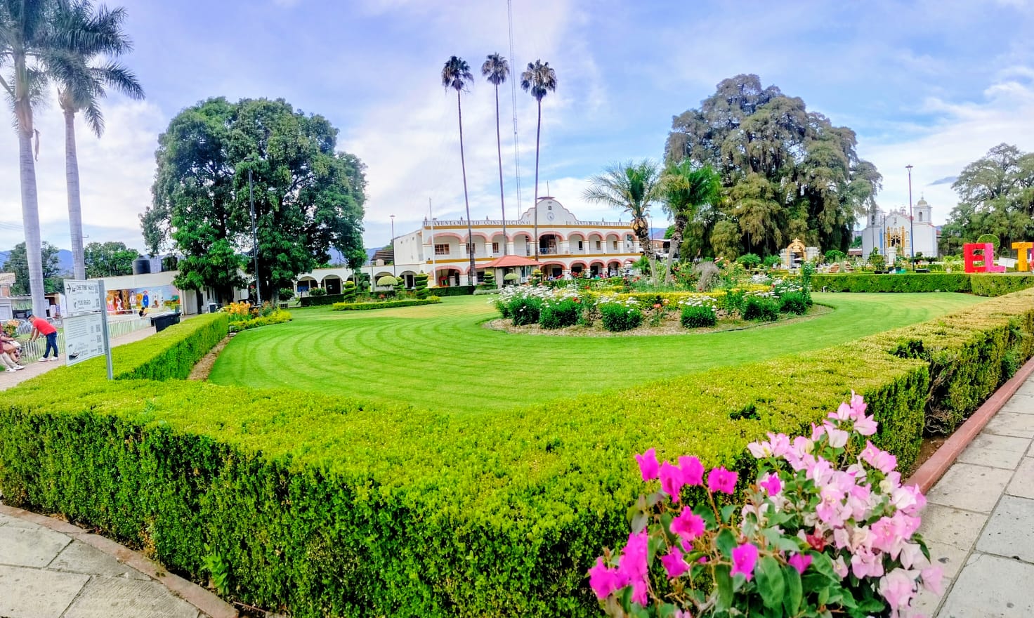 Empresa oaxaqueña especializada en jardinería profesional